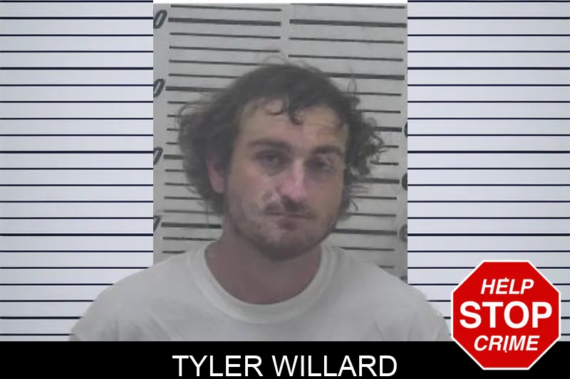 Tyler Willard