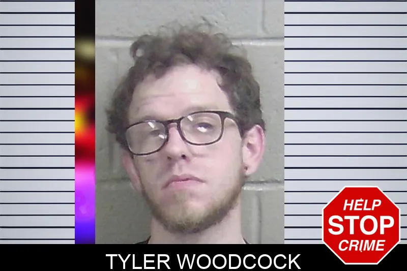 Tyler Woodcock Mugshots