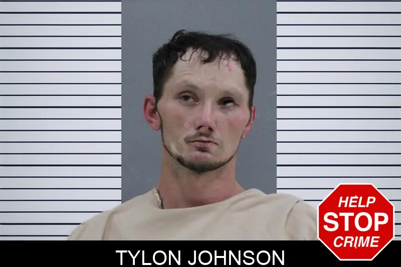 Tylon Johnson Mugshots