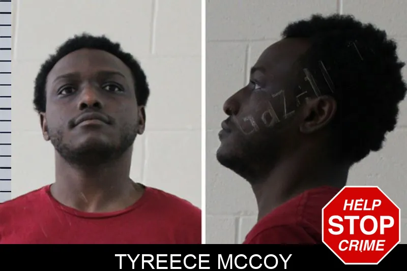 Tyreece McCoy mugshot