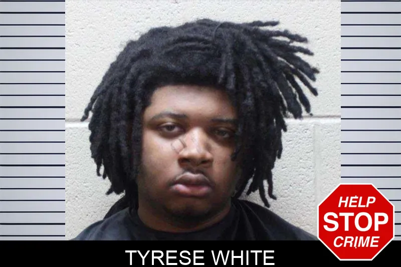 Tyrese White Mugshots