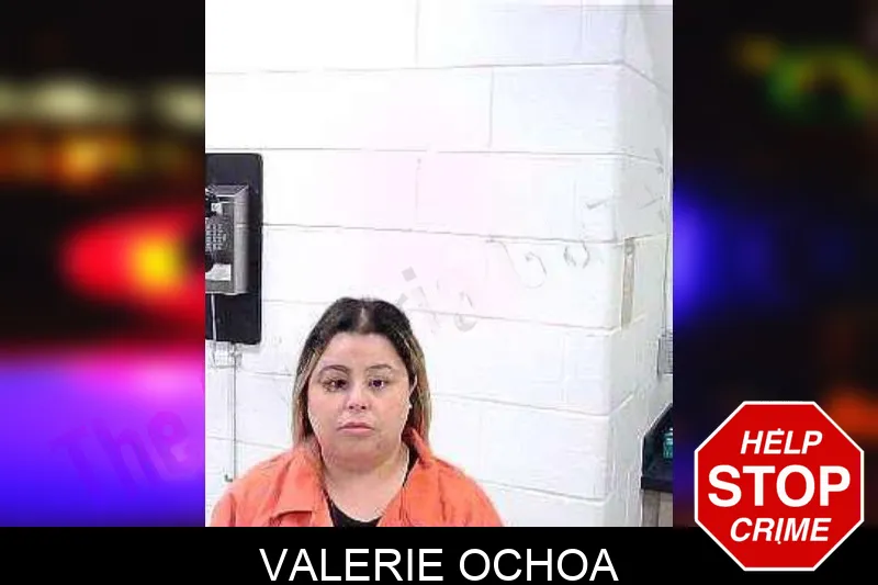 Valerie Ochoa mugshot – Fulton County , Georgia Valerie Ochoa mugshot