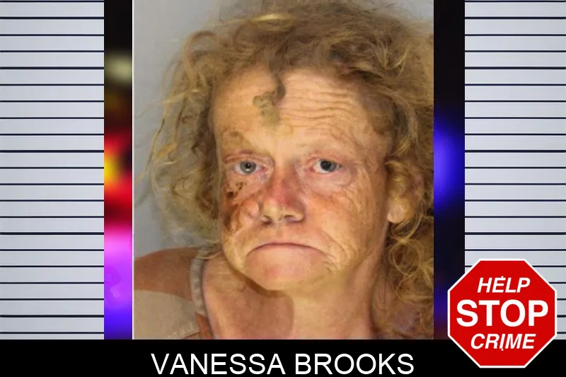Vanessa Brooks mugshot
