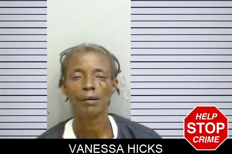 Vanessa Hicks mugshot – Fulton County , Georgia Vanessa Hicks mugshot