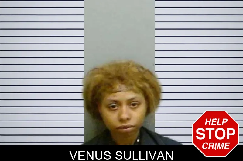 Venus Sullivan Mugshots