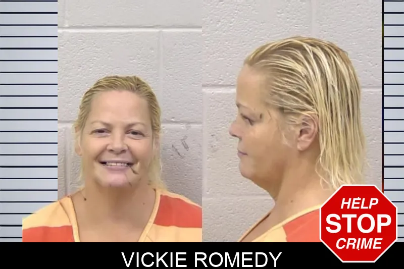 Vickie Romedy mugshot – Paulding County , Georgia Vickie Romedy mugshot