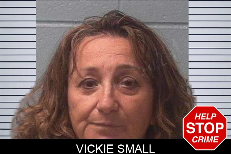 Vickie Small Mugshots