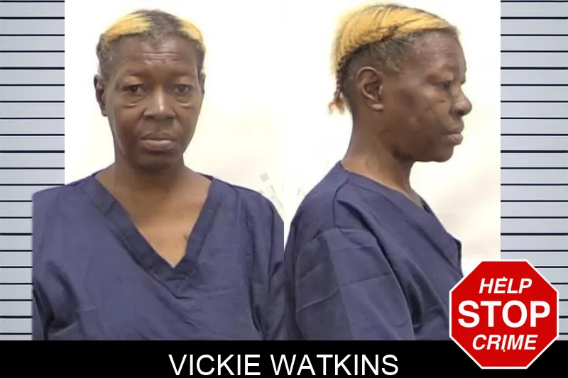 Vickie Watkins Mugshots