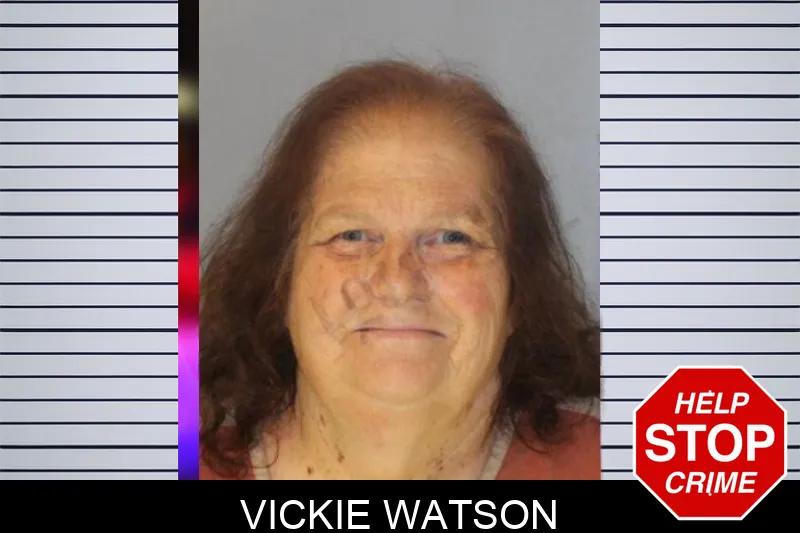 Vickie Watson Mugshots