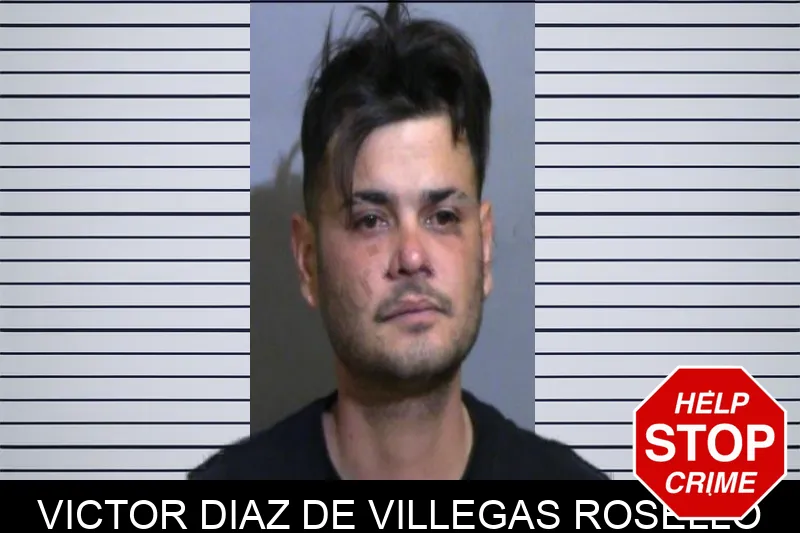 Victor Diaz De Villegas Rosello