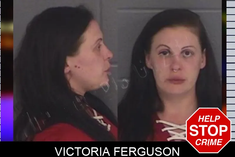 Victoria Ferguson mugshot – Barrow County , Georgia Victoria Ferguson mugshot