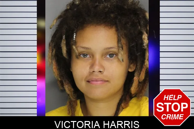 Victoria Harris mugshot – Cobb County , Georgia Victoria Harris mugshot