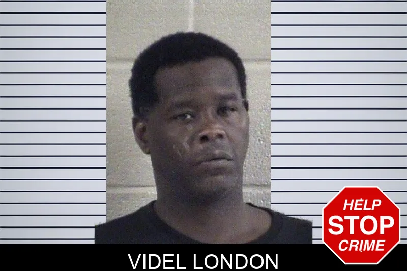 Videl London mugshot