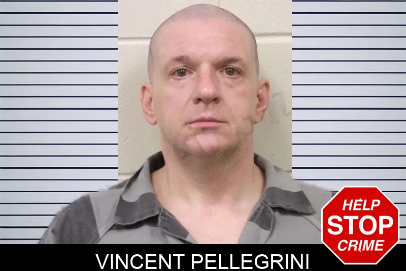 Vincent Pellegrini Mugshots