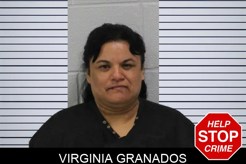 Virginia Granados Mugshots