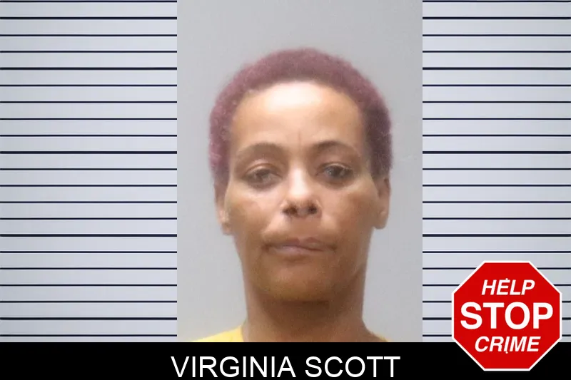 Virginia Scott Mugshots
