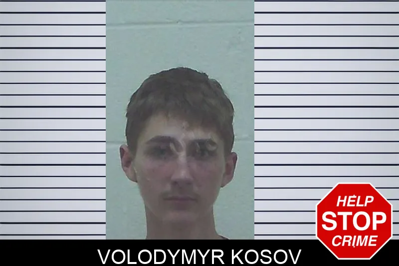 Volodymyr Kosov Mugshots