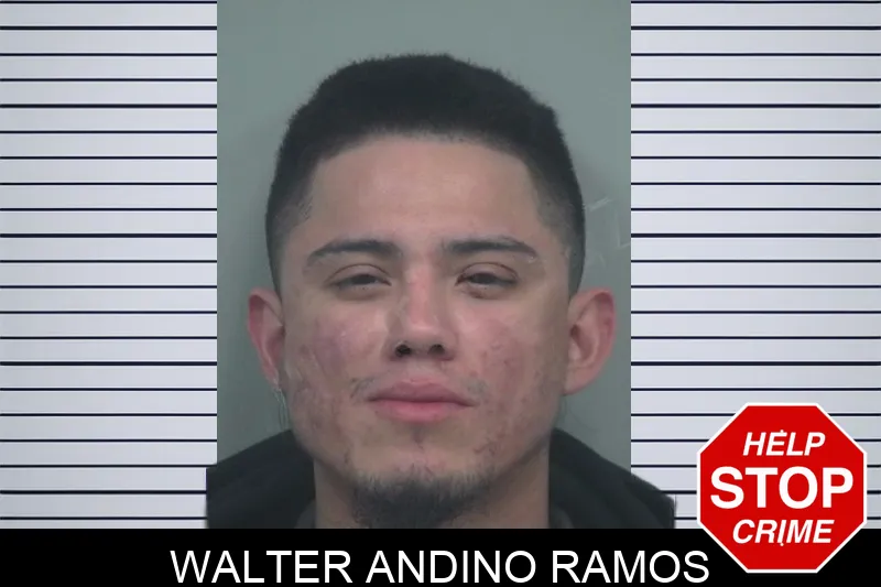 Walter Andino Ramos Mugshots