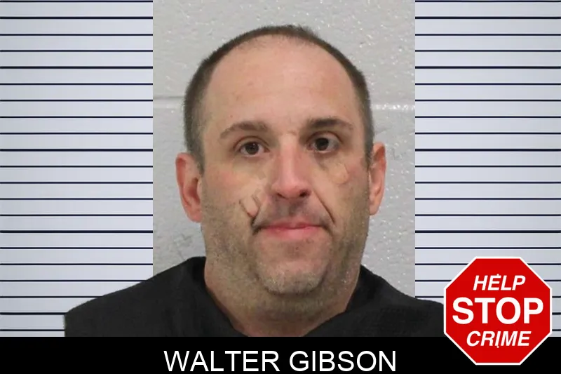 Walter Gibson mugshot