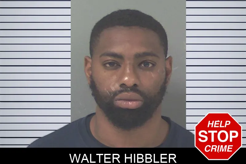 Walter Hibbler Mugshots