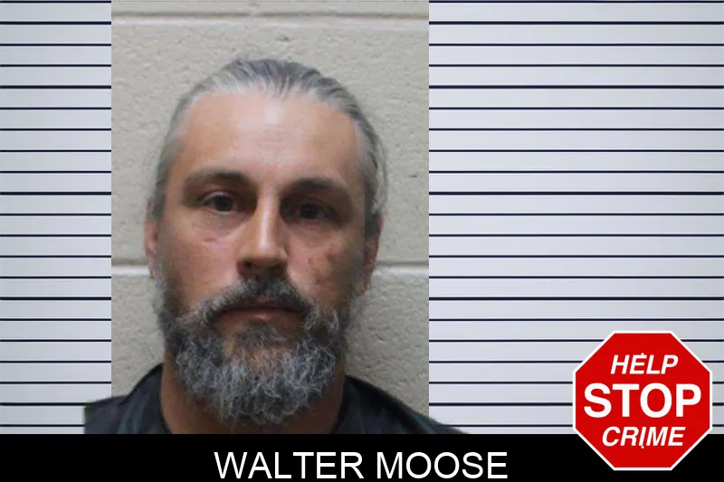 Walter Moose Mugshots