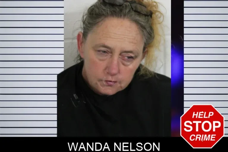 Wanda Nelson mugshot – Floyd County , Georgia Wanda Nelson