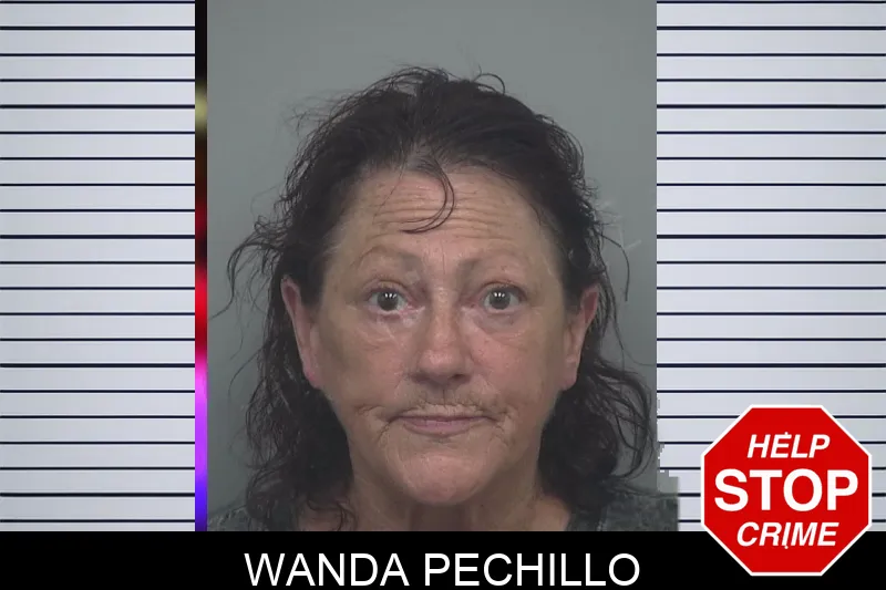 Wanda Pechillo mugshot – Gwinnett County , Georgia Wanda Pechillo mugshot
