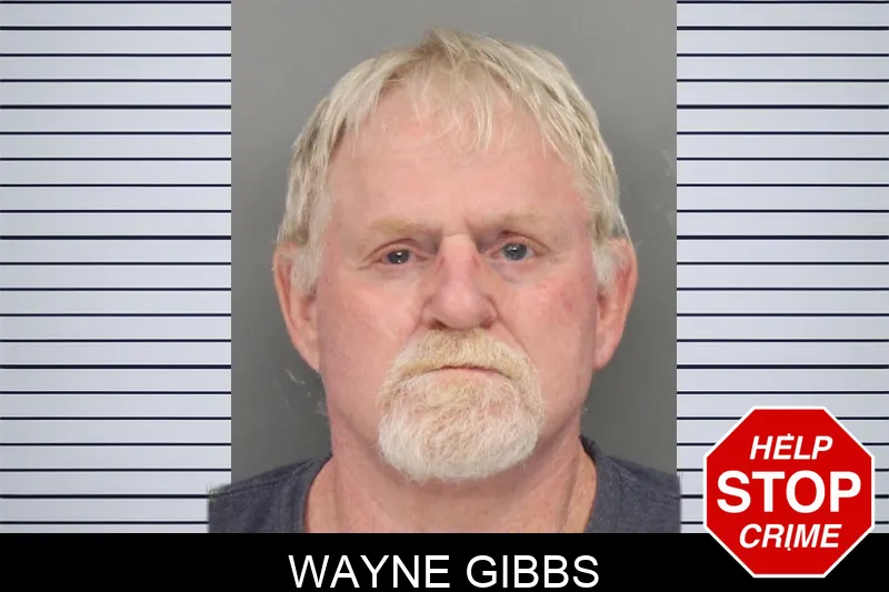 Wayne Gibbs Mugshots