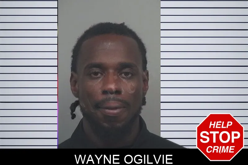 Wayne Ogilvie Mugshots