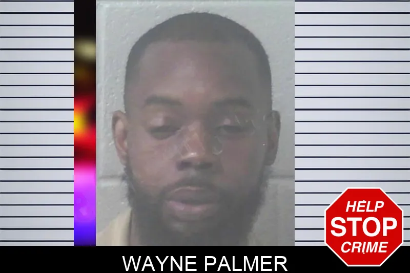 Wayne Palmer