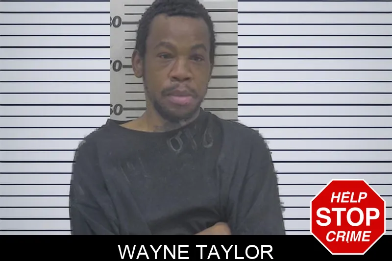 Wayne Taylor Mugshots
