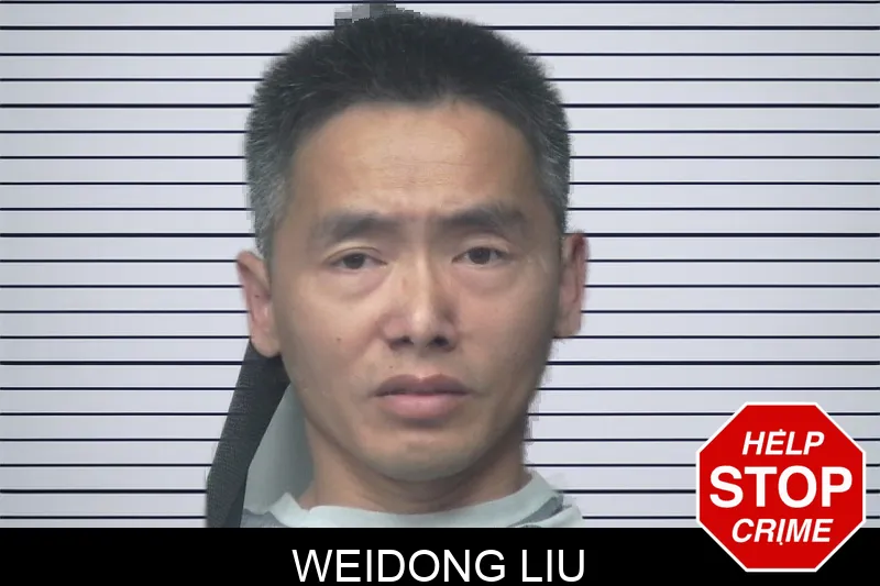Weidong Liu Mugshots