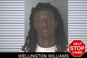 Wellington Williams mugshot