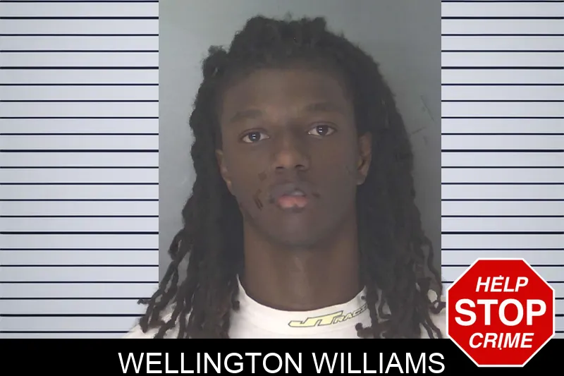 Wellington Williams Mugshots