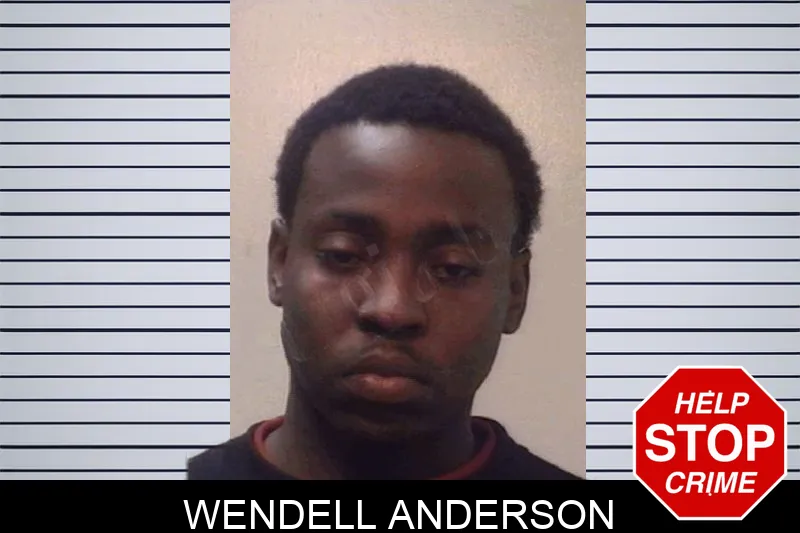 Wendell Anderson Mugshots