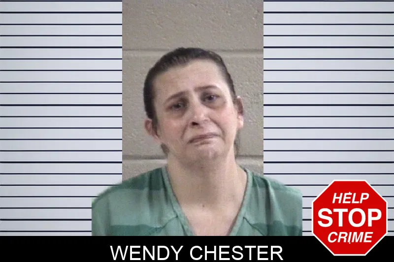 Wendy Chester mugshot – Whitfield County , Georgia Wendy Chester mugshot