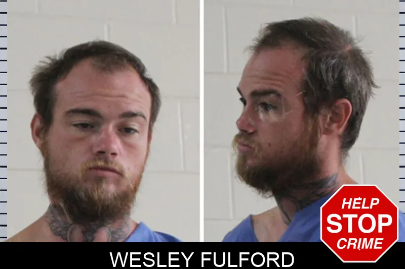Wesley Fulford mugshot