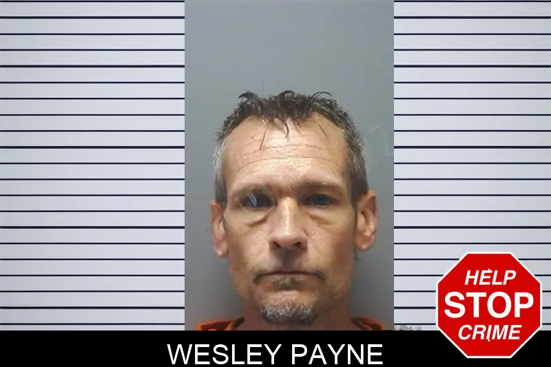 Wesley Payne Mugshots