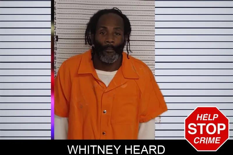 Whitney Heard Mugshots