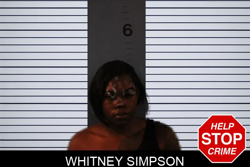 Whitney Simpson Mugshots