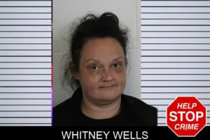 Whitney Wells mugshot