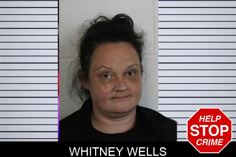 Whitney Wells Mugshots
