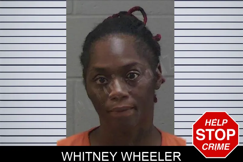 Whitney Wheeler Mugshots