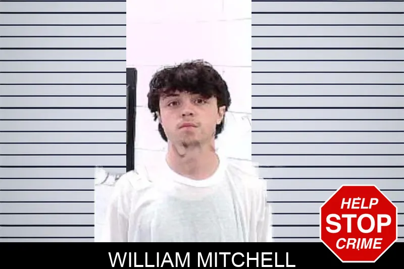 William Mitchell mugshot