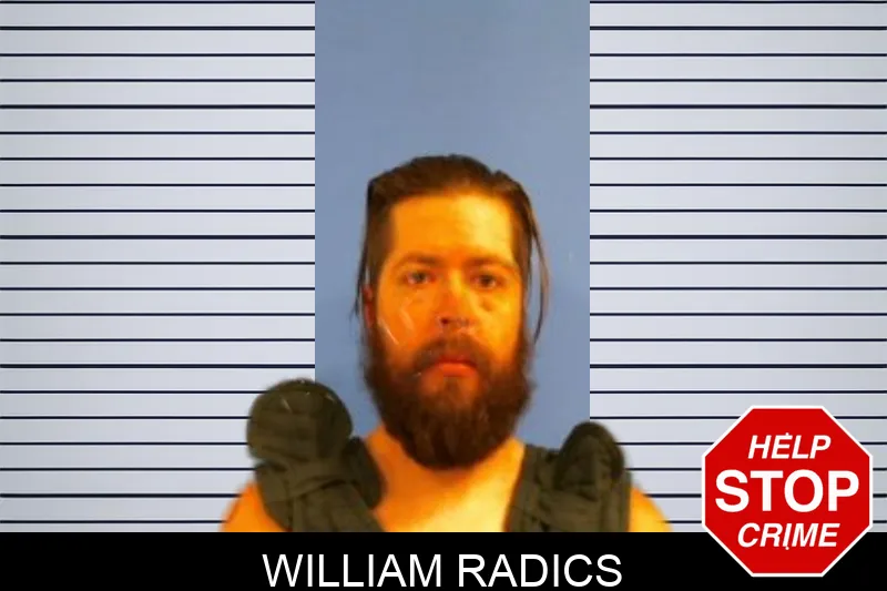William Radics Mugshots