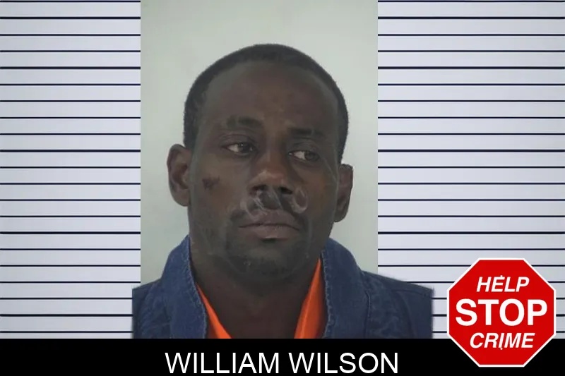 William Wilson Mugshots