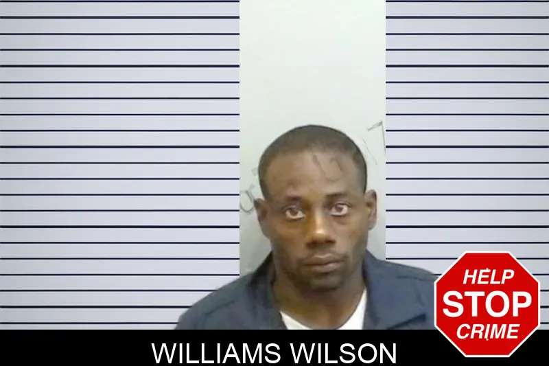 Williams Wilson Mugshots