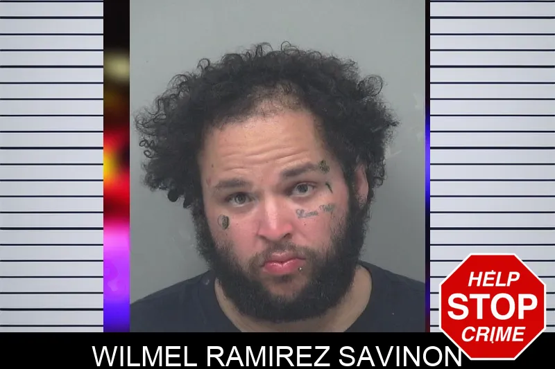Wilmel Ramirez Savinon Mugshots