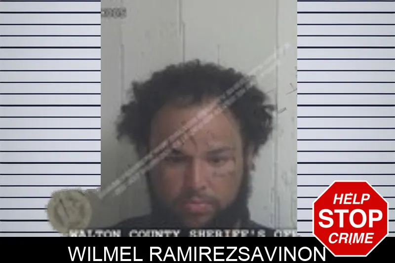 Wilmel Ramirezsavinon Mugshots