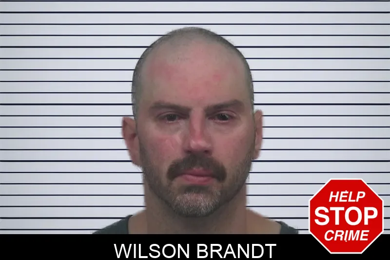 Wilson Brandt Mugshots